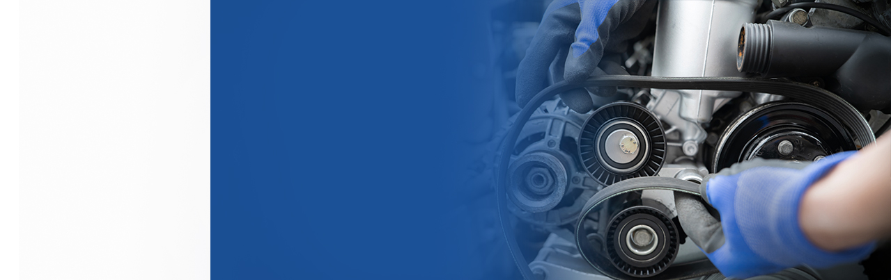 Wet timing belt replacement at IN'n'OUT Autocentres